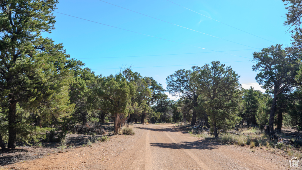 View of road