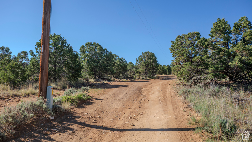 View of road