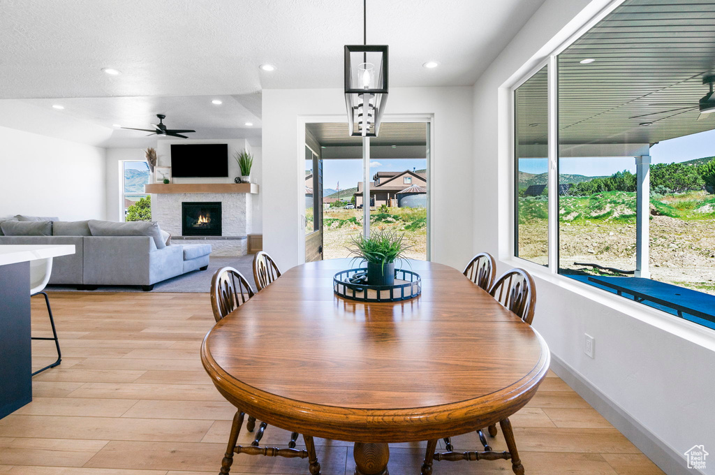 Dining space with ceiling fan and light hardwood / wood-style floors