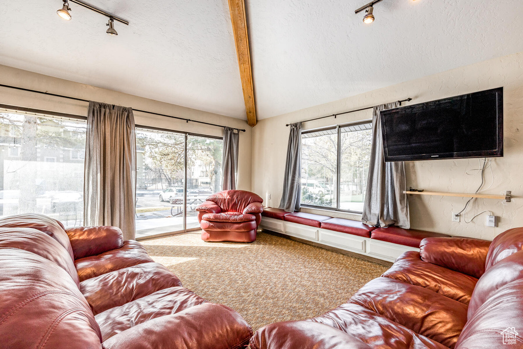 Living room with beamed ceiling, carpet, and rail lighting