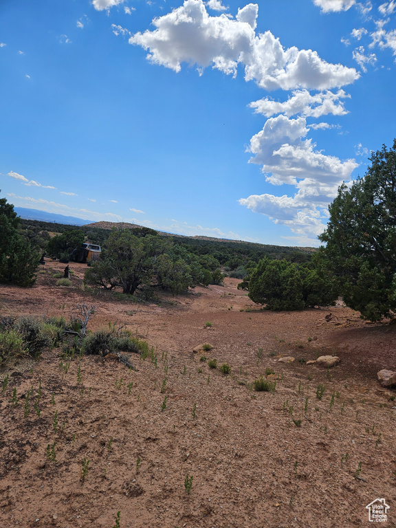 View of local wilderness with a rural view