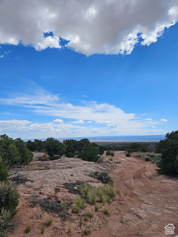 View of local wilderness