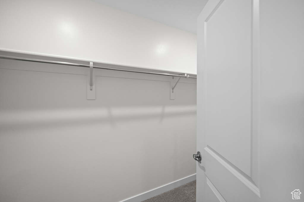 Walk in closet with carpet