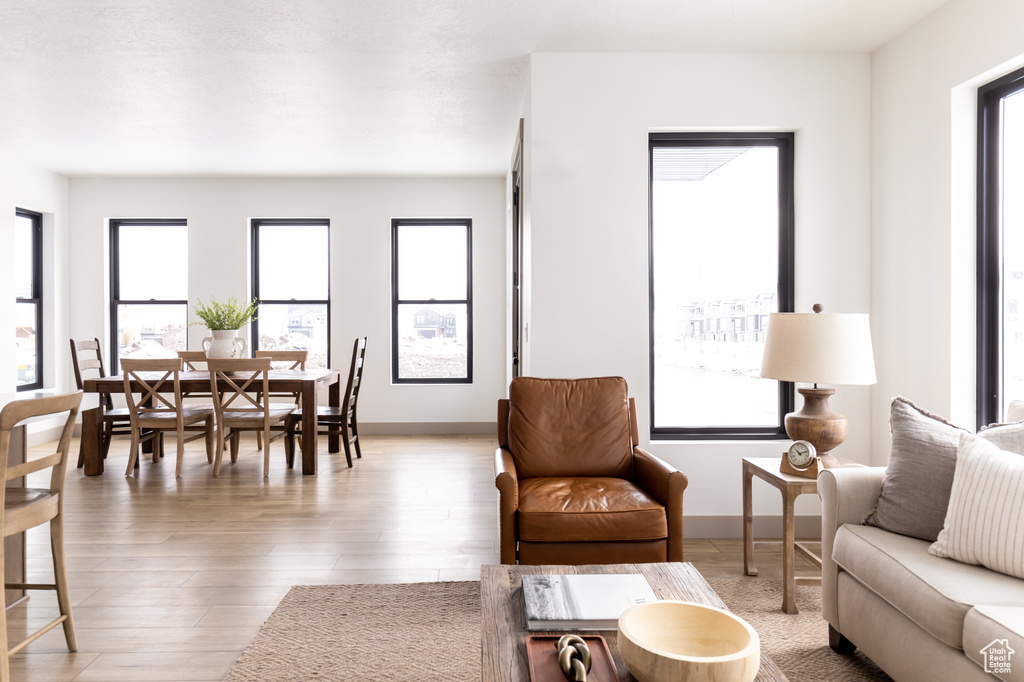 Living room with wood-type flooring and plenty of natural light