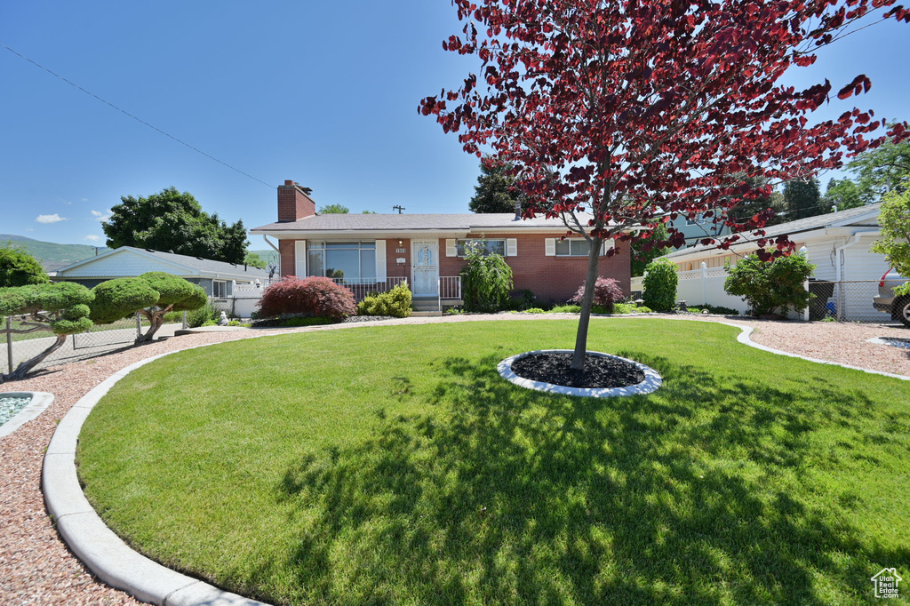 Ranch-style home with a front yard