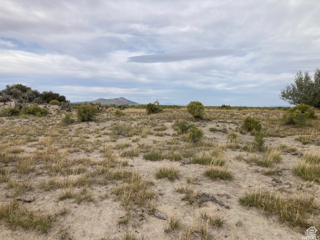 View of local wilderness