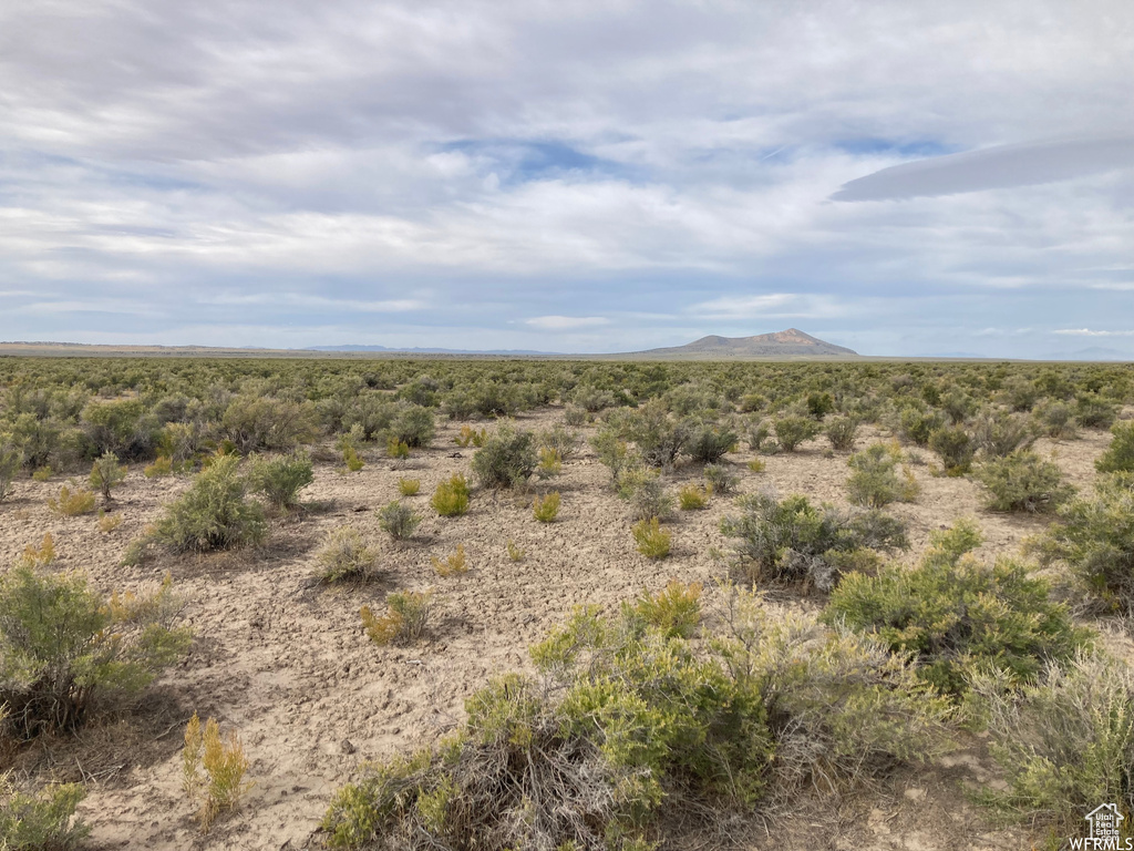 View of local wilderness