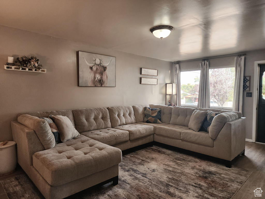 Living room featuring wood finished floors