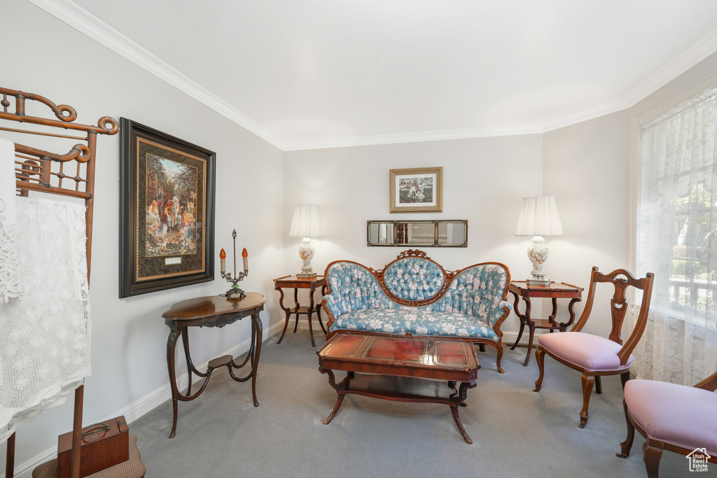 Living room with carpet floors and crown molding