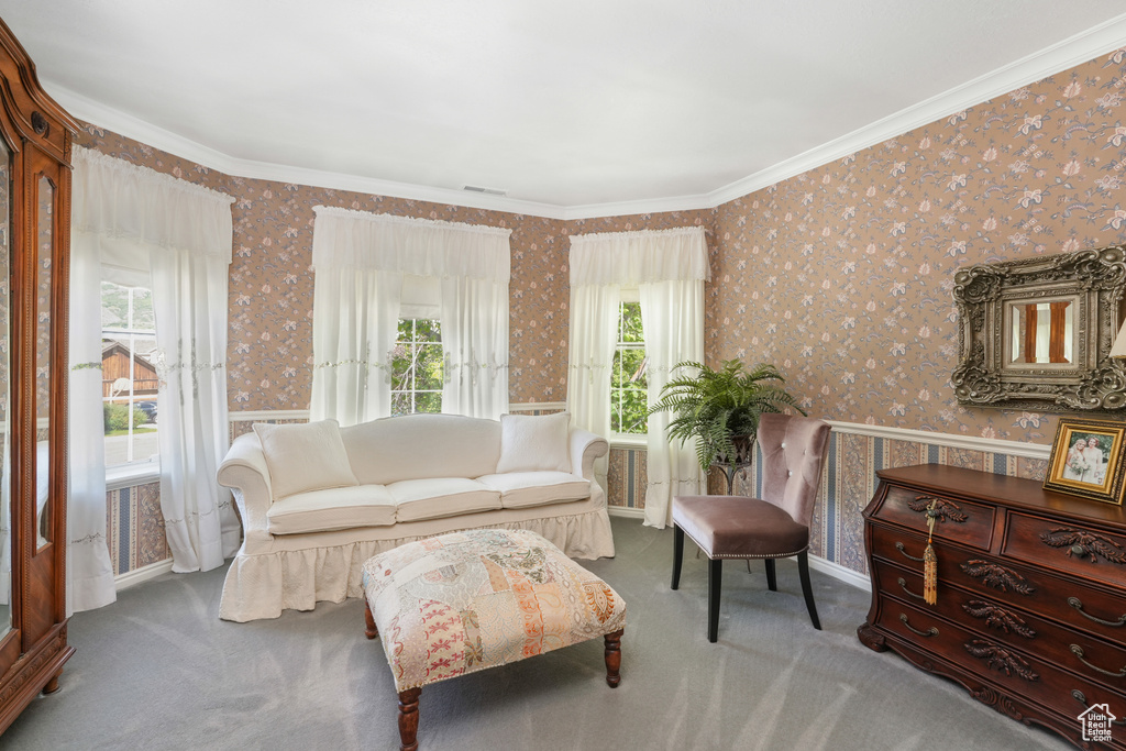 Living room with ornamental molding and carpet flooring