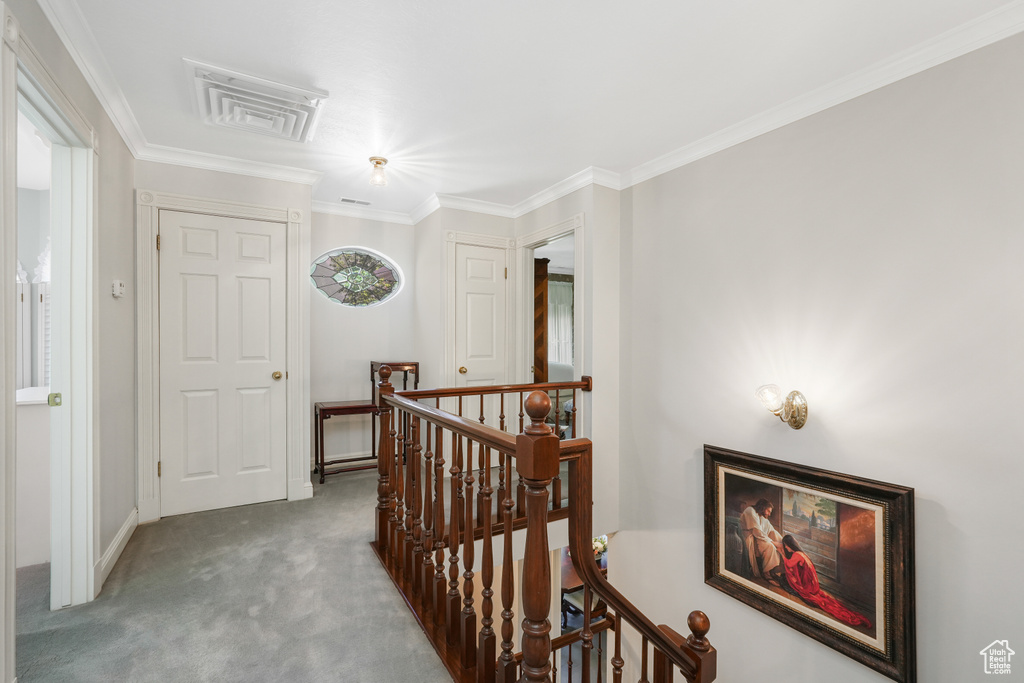 Hall with carpet and ornamental molding