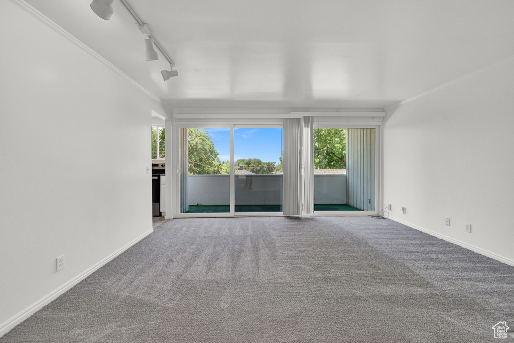 Spare room with crown molding, track lighting, and carpet