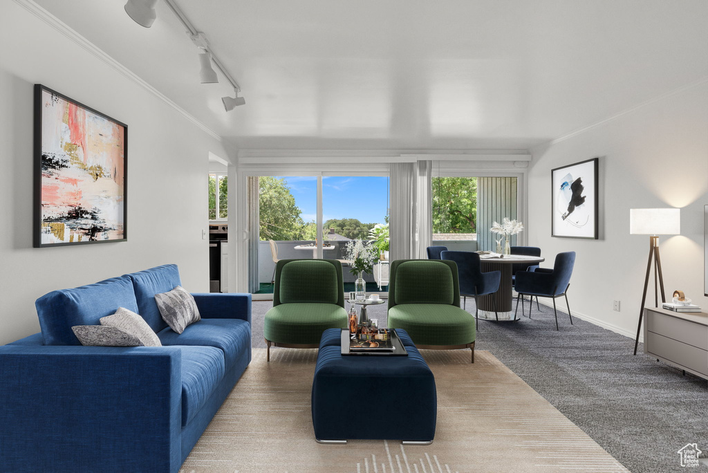 Living room with ornamental molding, carpet floors, and track lighting