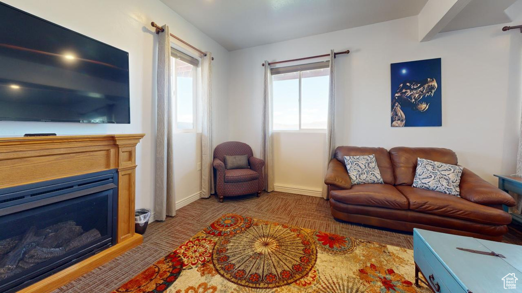 Living room featuring a healthy amount of sunlight