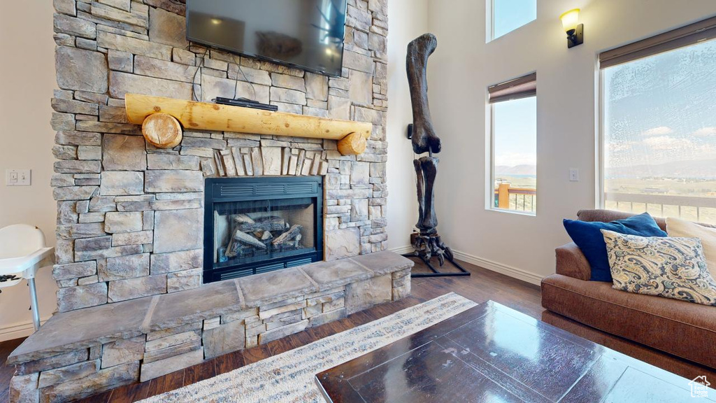 Living room featuring a stone fireplace and hardwood / wood-style flooring