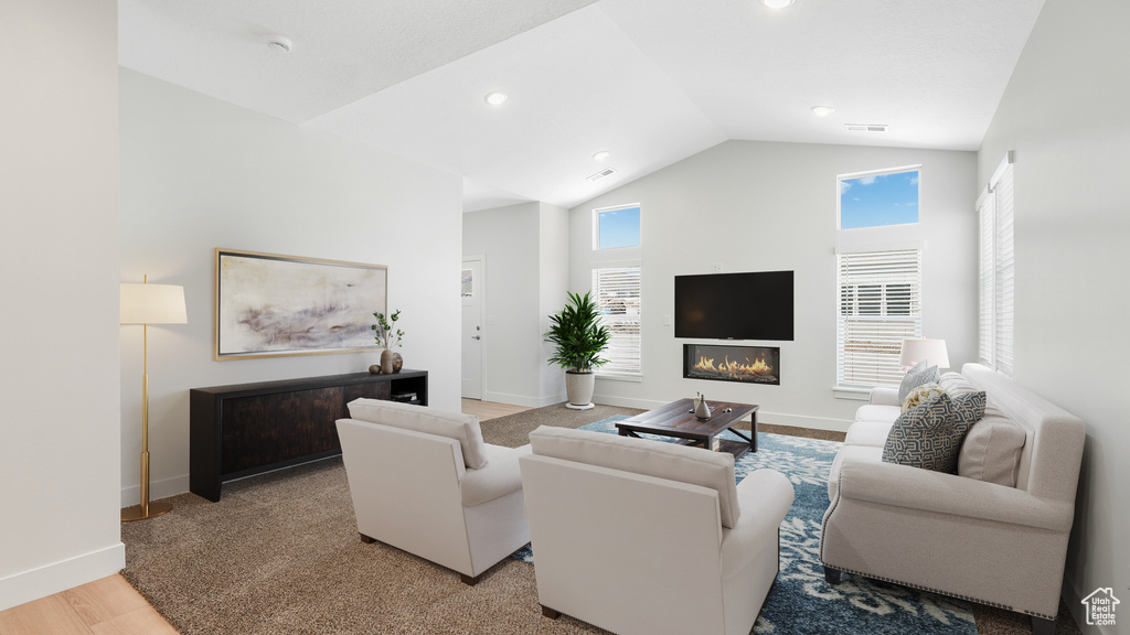 Living room featuring vaulted ceiling and wood-type flooring