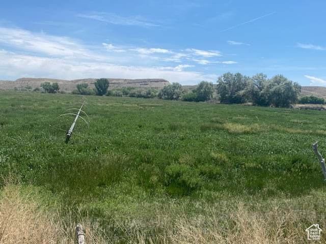 View of local wilderness featuring a rural view