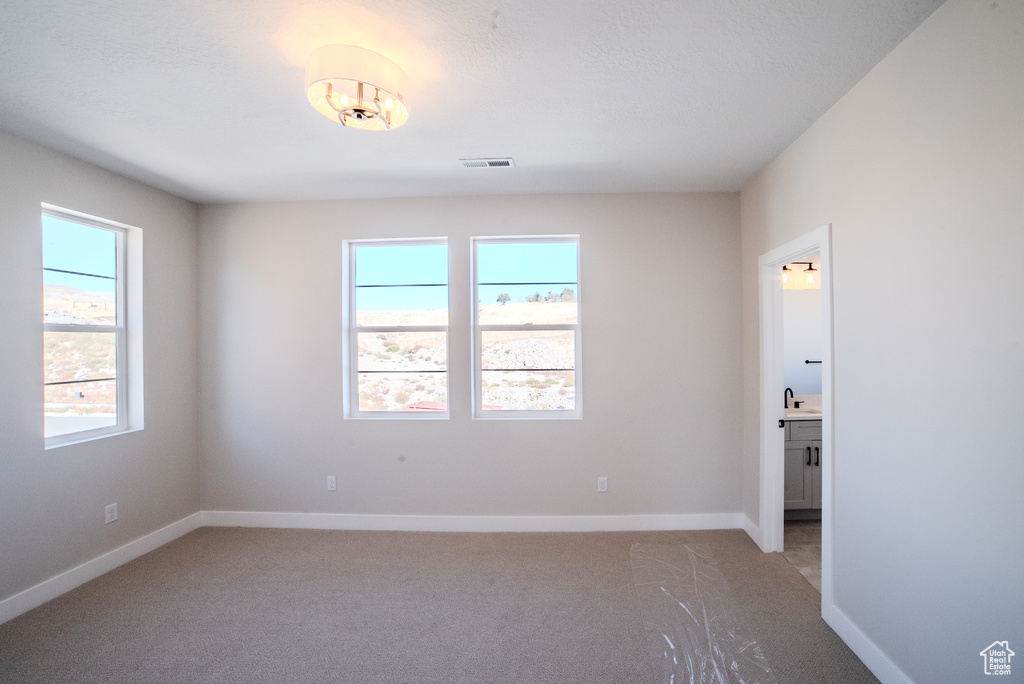 View of carpeted spare room