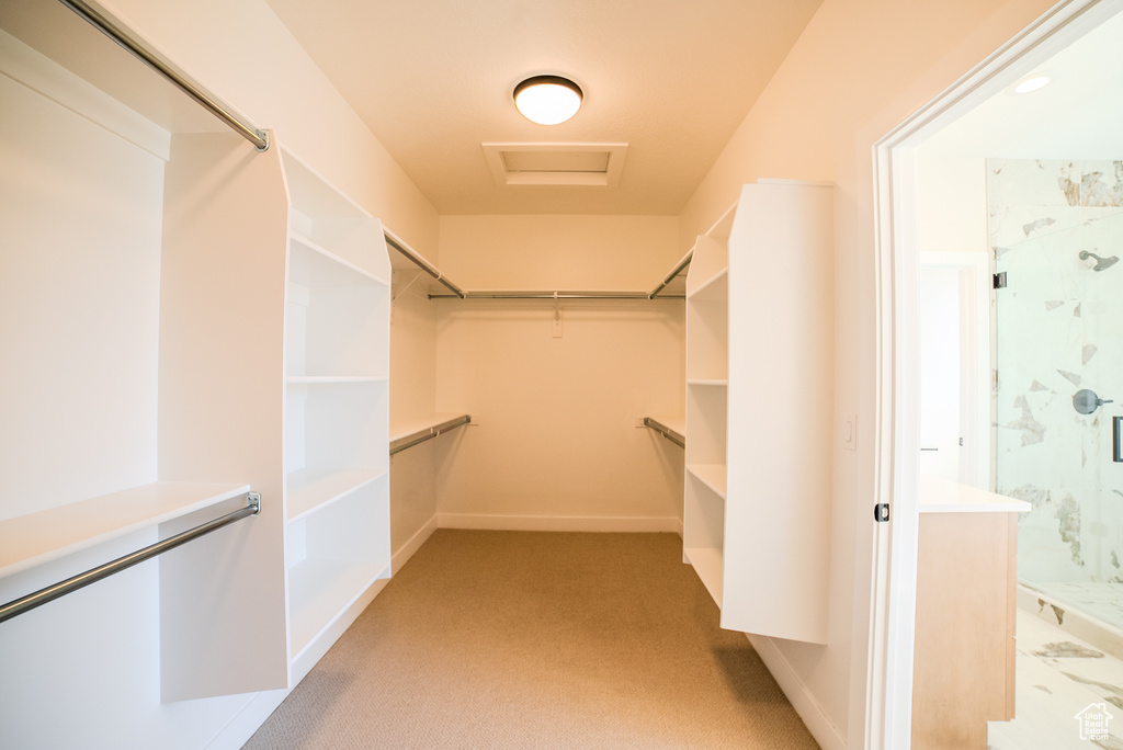 Spacious closet with light carpet