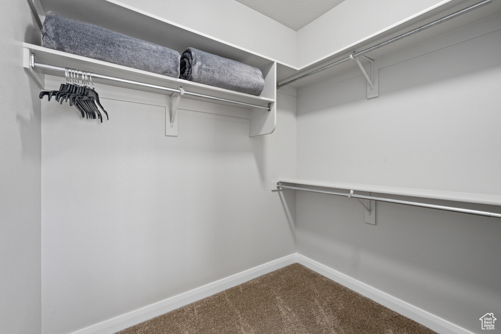 Spacious closet with carpet floors