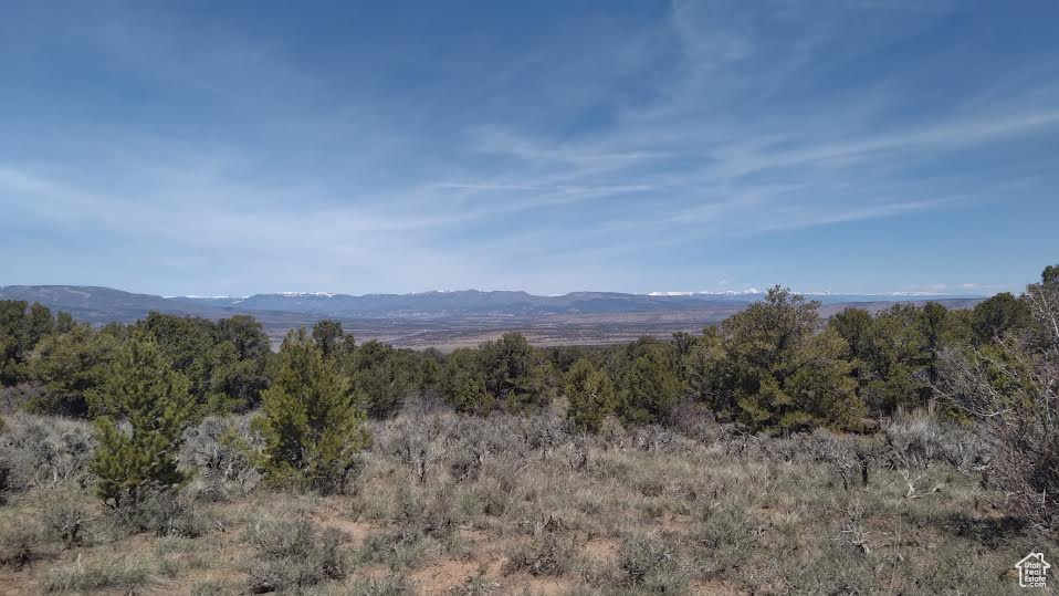 View of property view of mountains