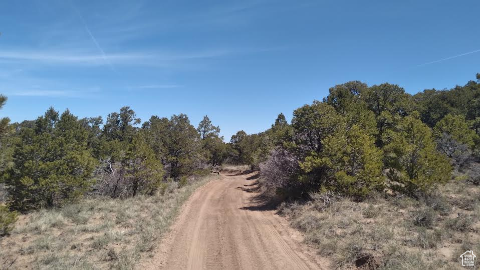 View of road