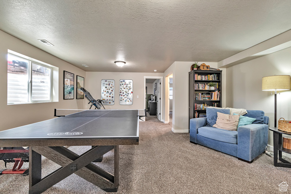 Recreation room featuring a textured ceiling and carpet flooring