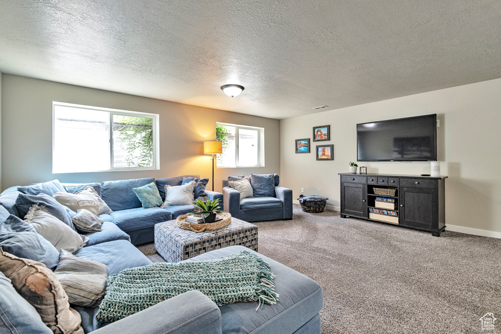 Carpeted living room with a textured ceiling