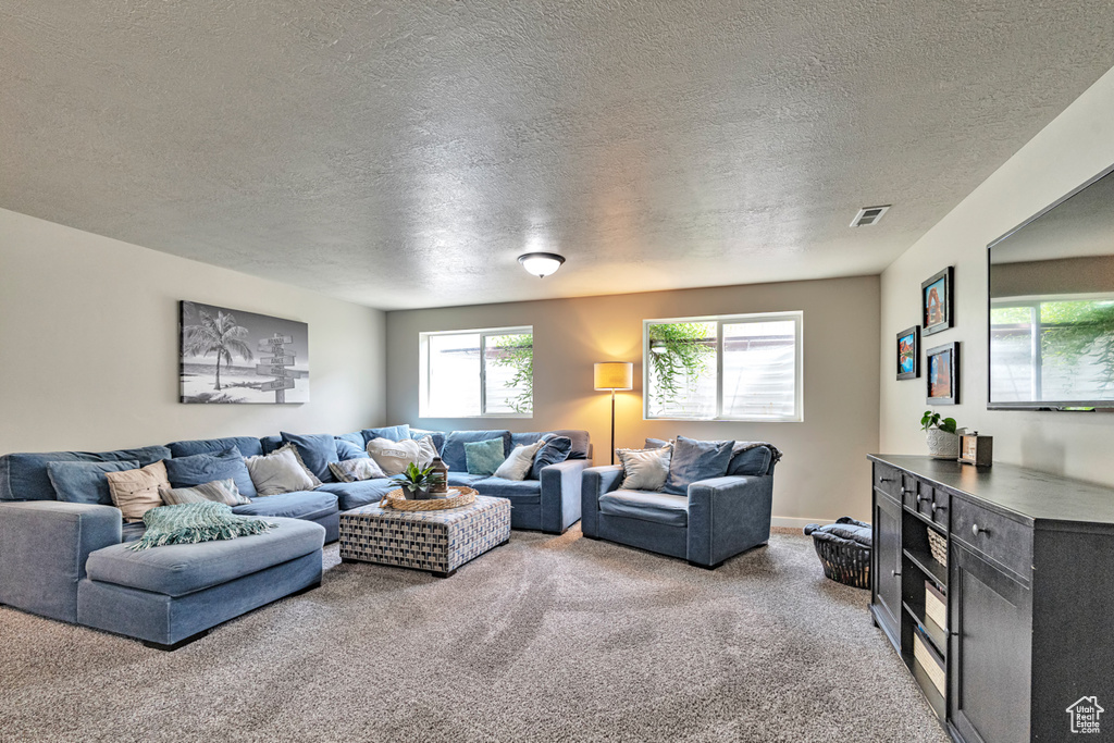 Carpeted living room with a textured ceiling