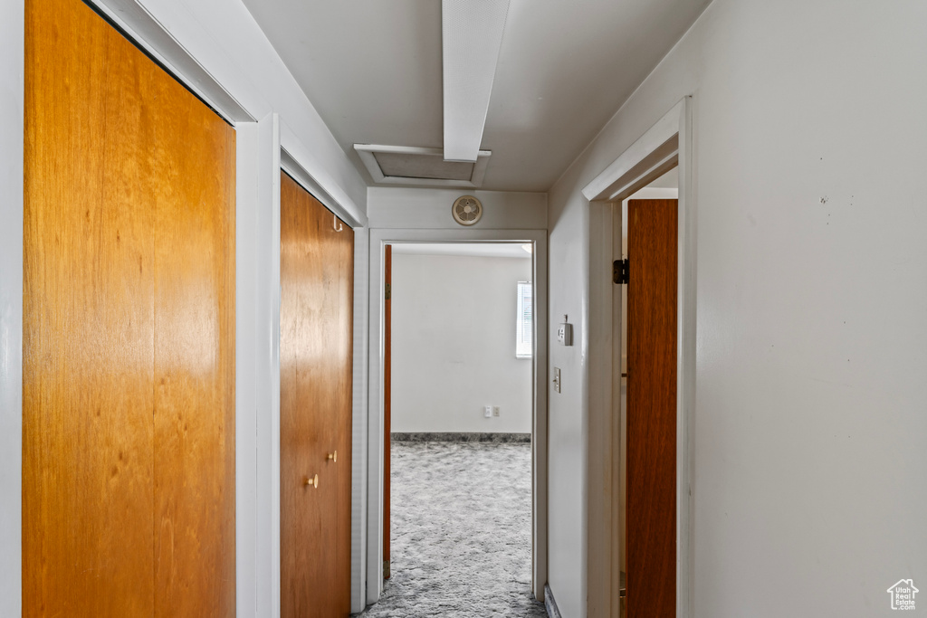 Hallway featuring carpet floors