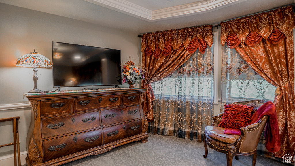 Living area featuring carpet flooring, a tray ceiling, and crown molding