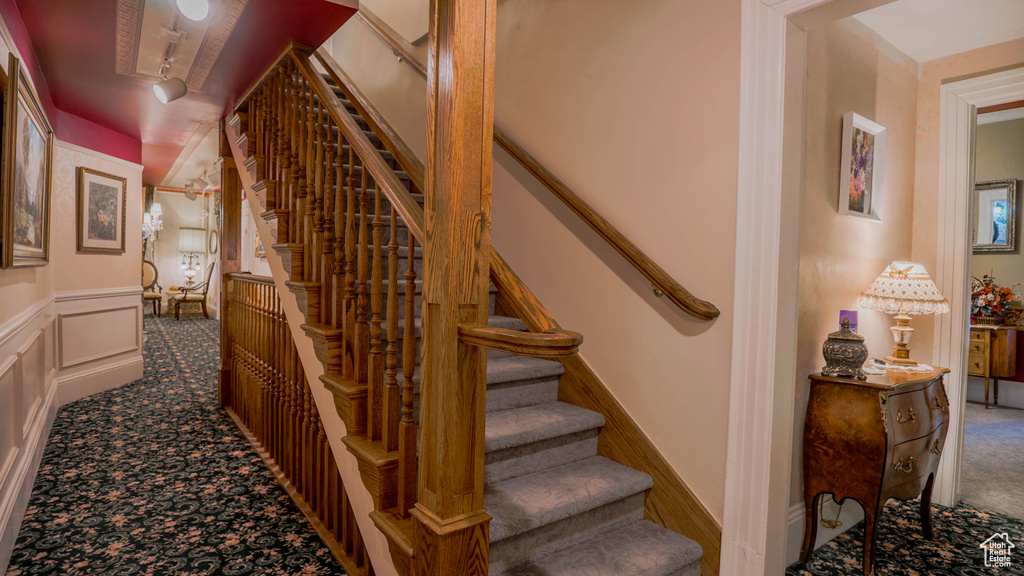 Stairway featuring carpet