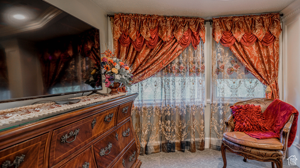 Sitting room featuring carpet flooring