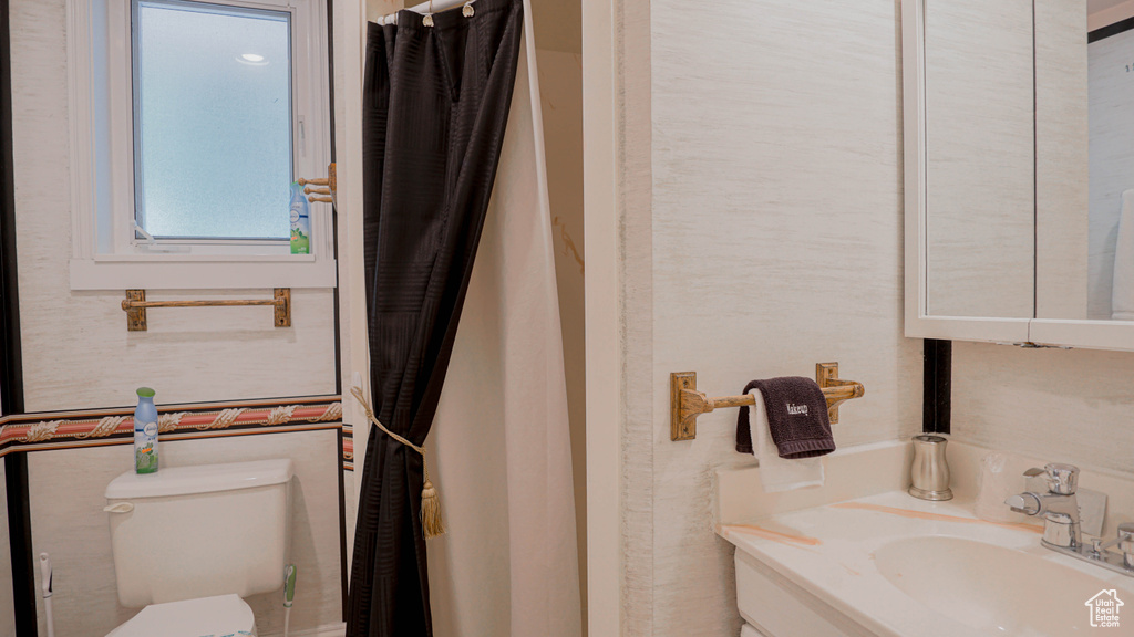 Bathroom featuring toilet and large vanity