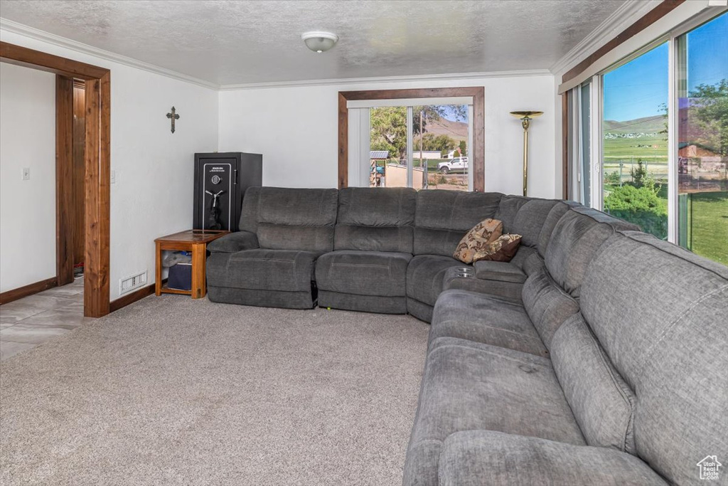 Living room featuring crown molding, a textured ceiling, and light colored carpet