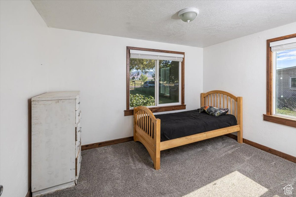 Bedroom with multiple windows, a textured ceiling, and dark carpet