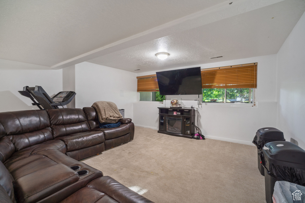 Living room featuring light colored carpet and a textured ceiling