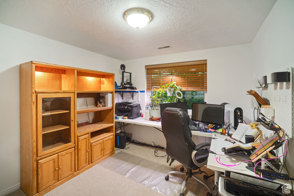 Office with light colored carpet and a textured ceiling