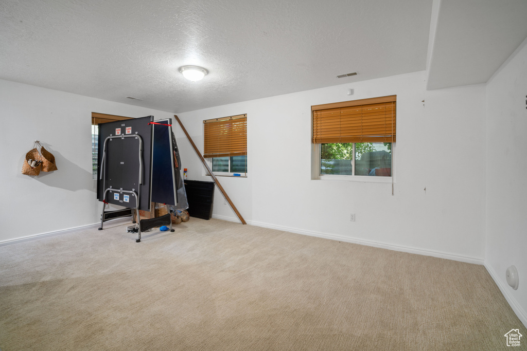 Misc room with a textured ceiling and carpet flooring