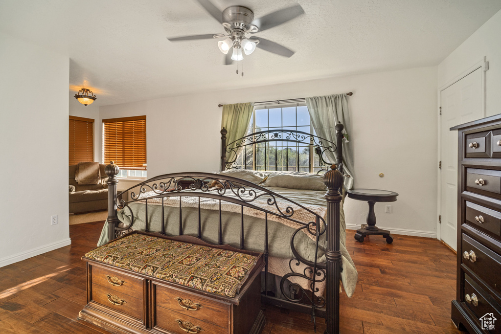 Bedroom featuring dark hardwood / wood-style flooring and ceiling fan