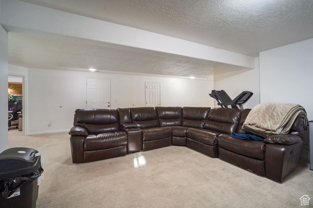 Living room with light colored carpet and a textured ceiling