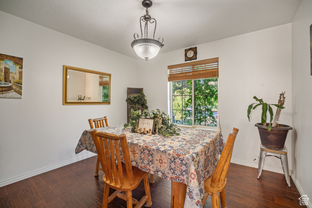 Dining space with dark hardwood / wood-style flooring