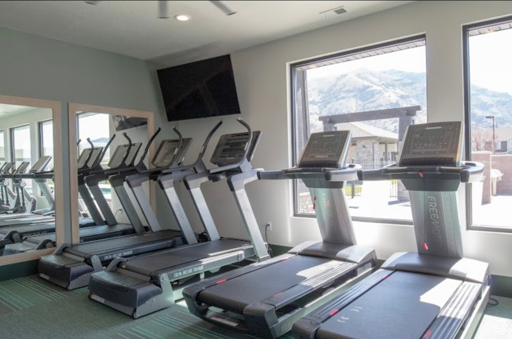 Exercise room featuring a wealth of natural light, carpet floors, and a mountain view