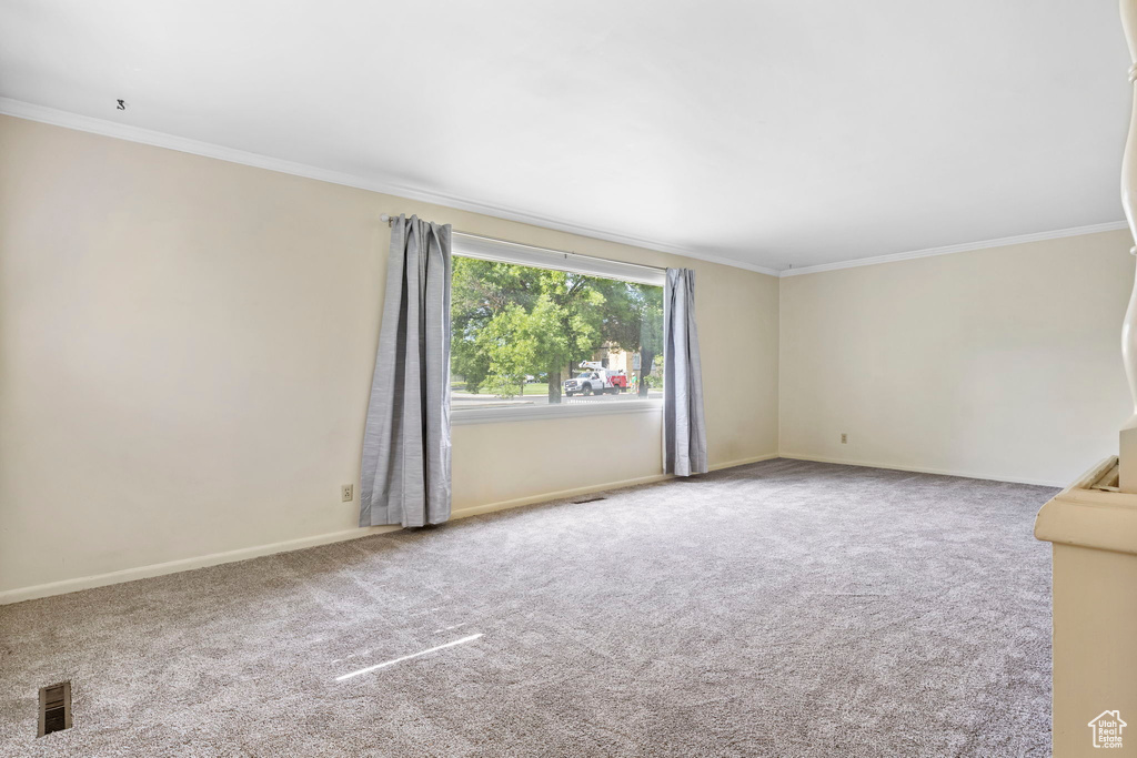 Carpeted empty room featuring ornamental molding