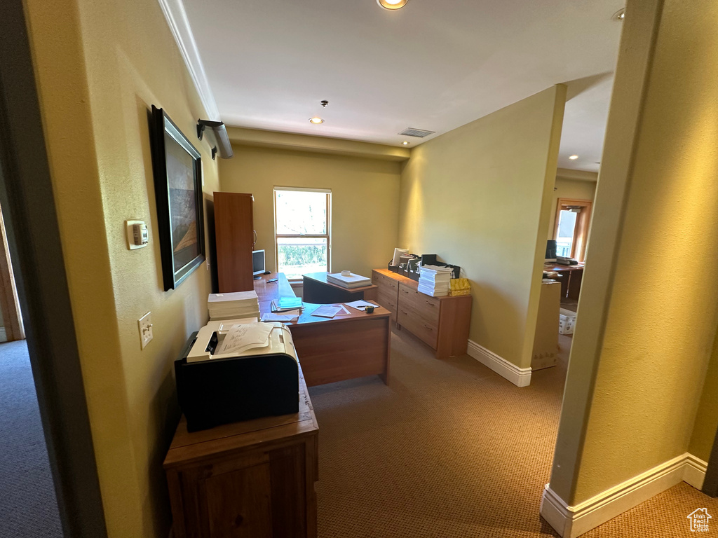 Carpeted office space featuring ornamental molding