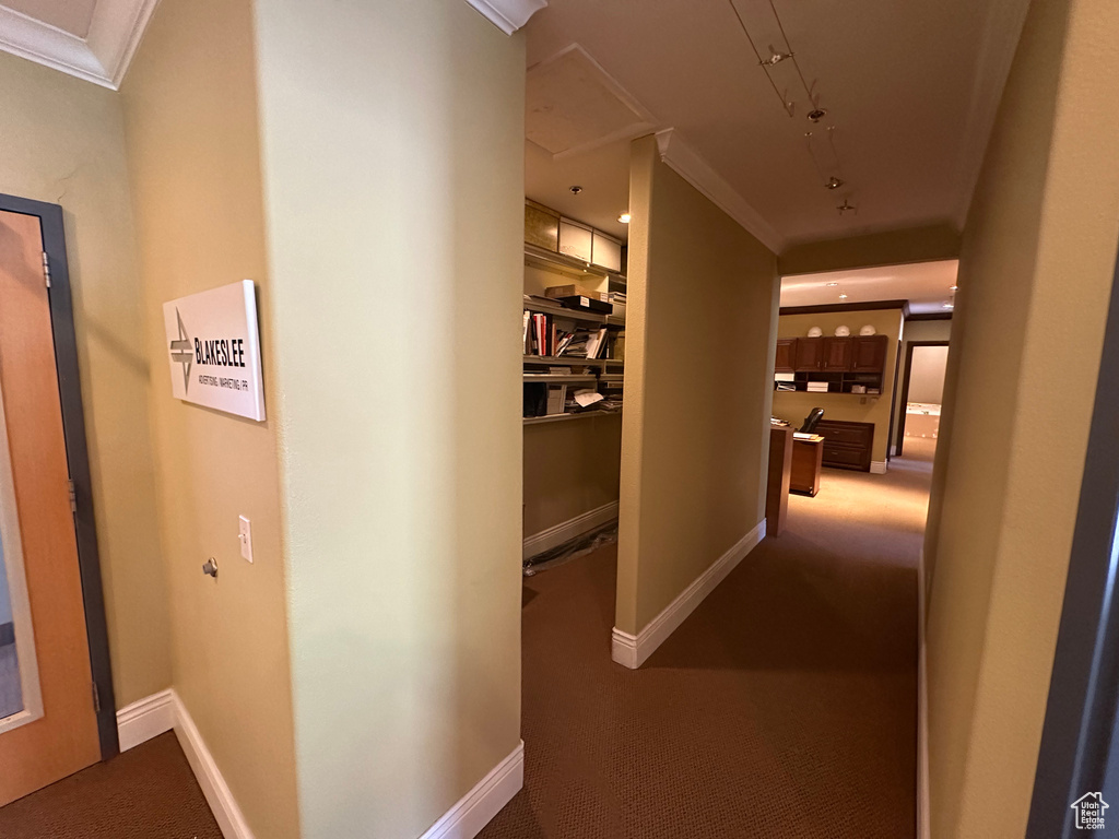 Corridor with carpet and crown molding