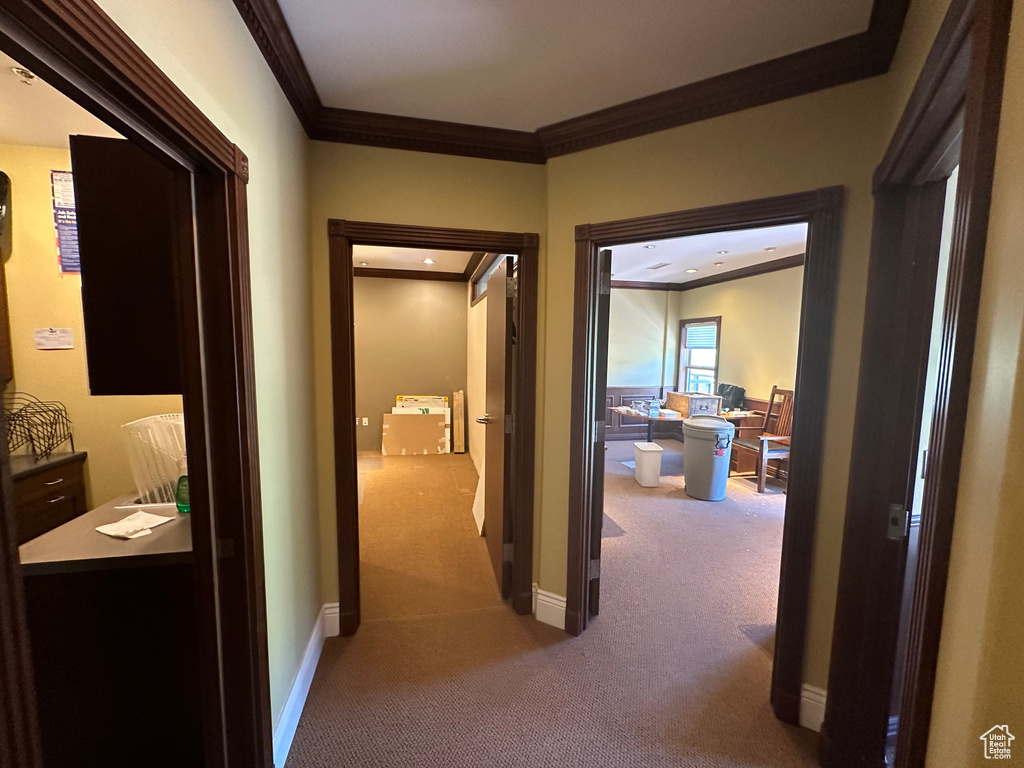 Hall featuring carpet and crown molding