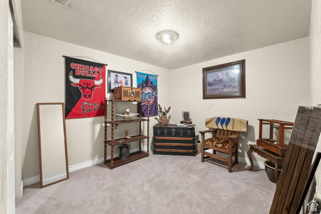 Living area with light colored carpet and a textured ceiling