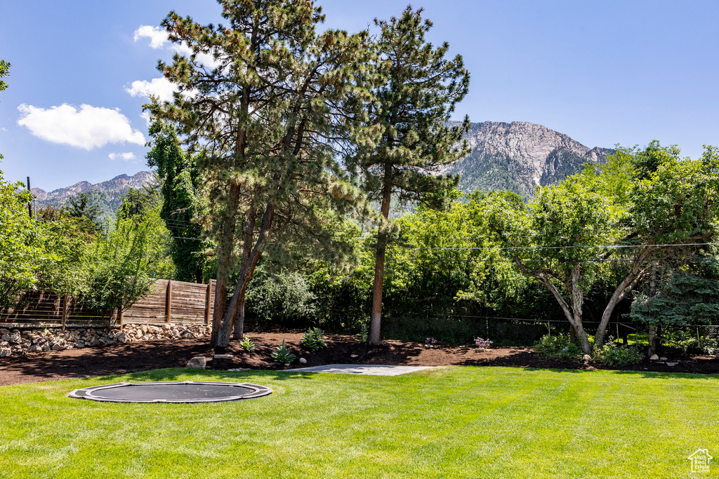 View of yard featuring a mountain view and a trampoline