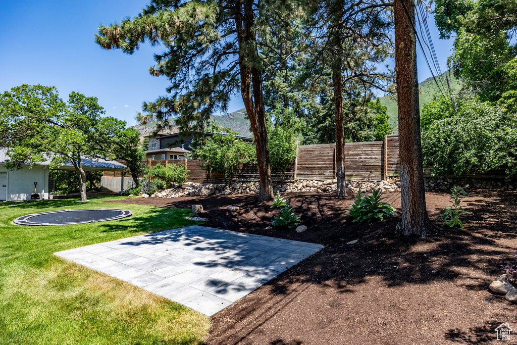 View of yard with a patio area